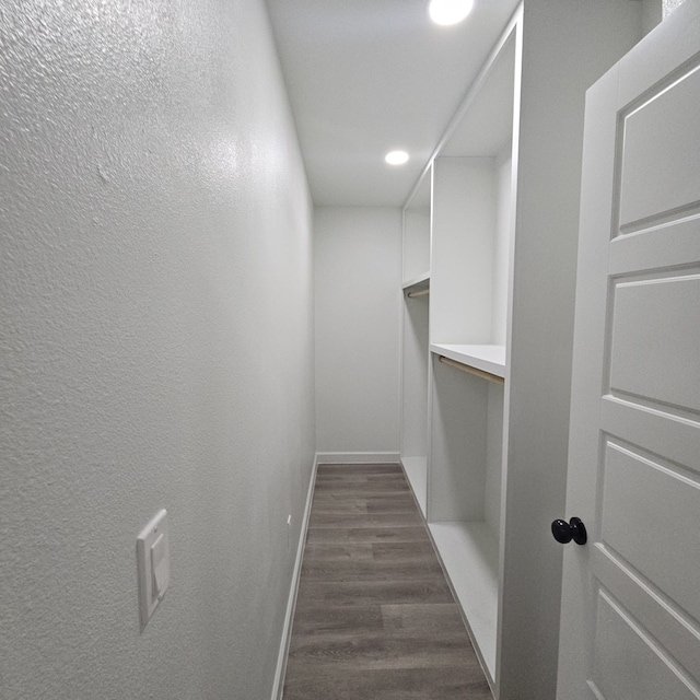 spacious closet with dark wood-type flooring