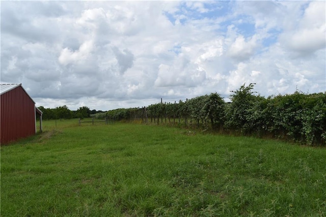 view of yard featuring a rural view