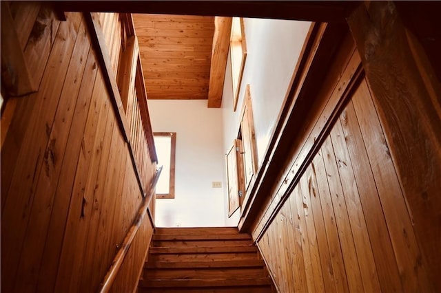 staircase featuring wood walls