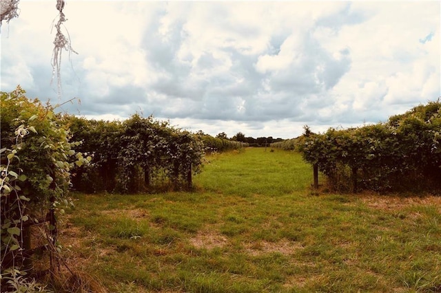 view of landscape featuring a rural view