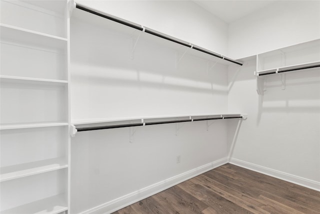 walk in closet featuring dark wood-type flooring