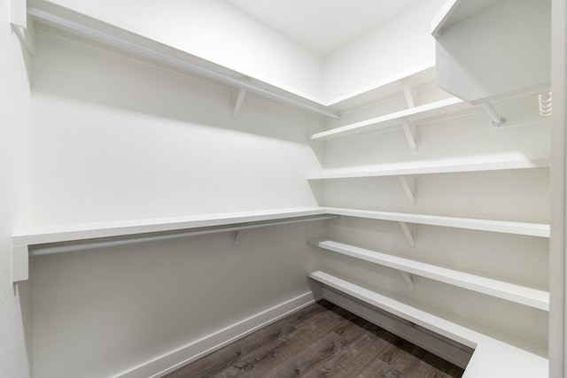 spacious closet featuring dark wood-type flooring