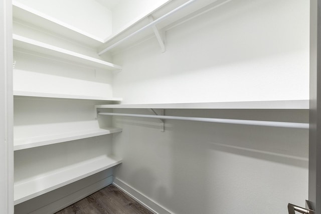 spacious closet with dark hardwood / wood-style flooring