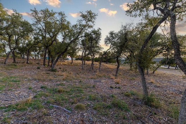 view of nature at dusk