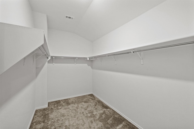 spacious closet with carpet flooring and vaulted ceiling