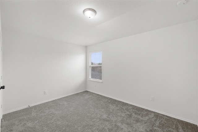 spare room with carpet flooring