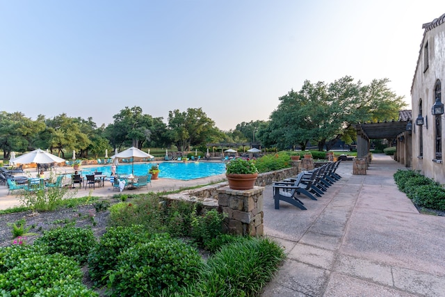 view of swimming pool with a patio area and a pergola