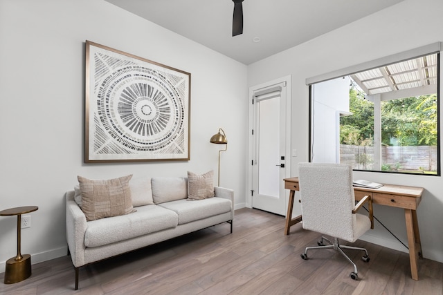 office space featuring ceiling fan and hardwood / wood-style floors