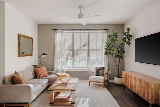 living room with ceiling fan and dark hardwood / wood-style flooring