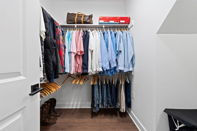 spacious closet with hardwood / wood-style floors