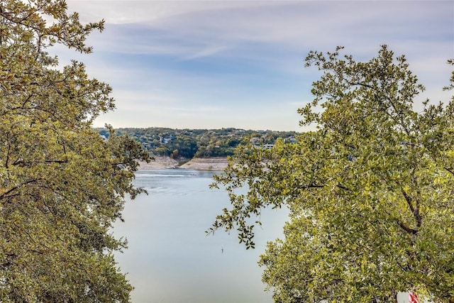 18405 Lakepoint Cv, Point Venture, TX 78645 - photo 28