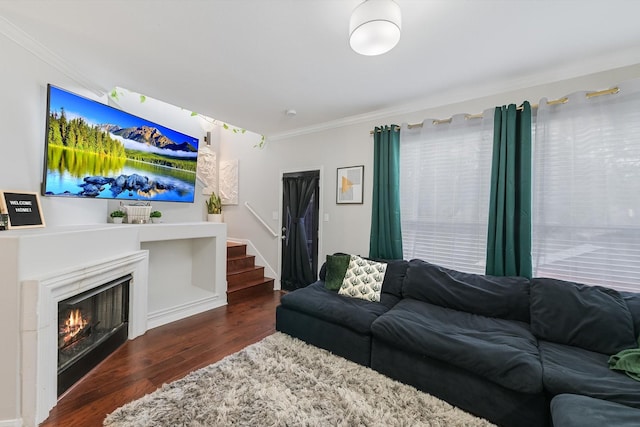 living room featuring dark hardwood / wood-style flooring and ornamental molding