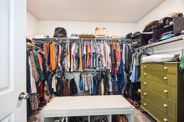 walk in closet featuring carpet floors