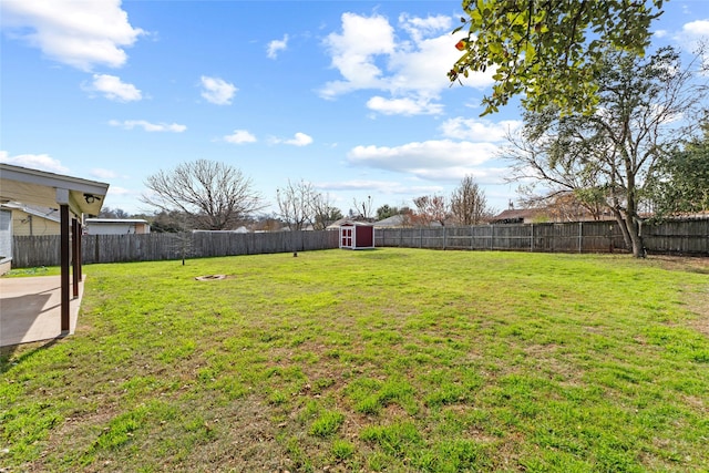 view of yard with a storage unit