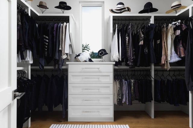 spacious closet with hardwood / wood-style flooring