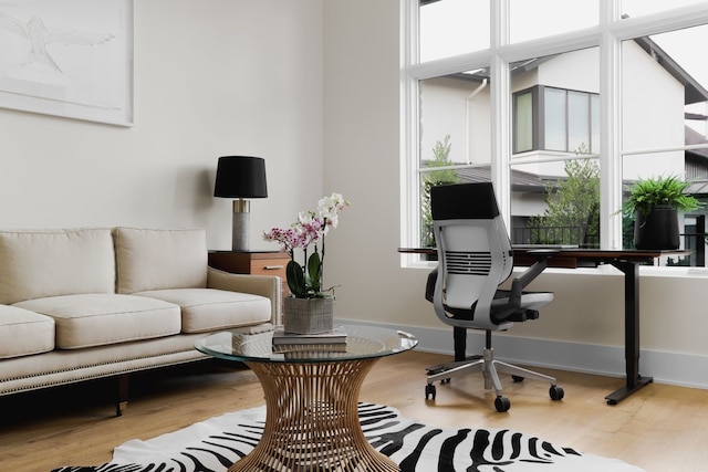 office featuring wood-type flooring