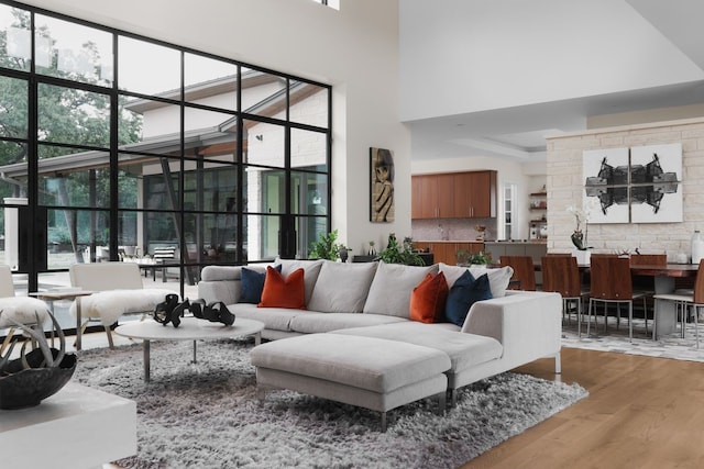 living room with a high ceiling and hardwood / wood-style floors