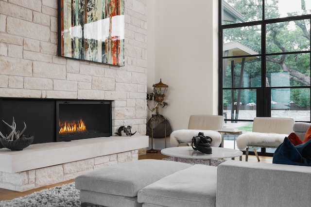 living room featuring a fireplace and hardwood / wood-style flooring