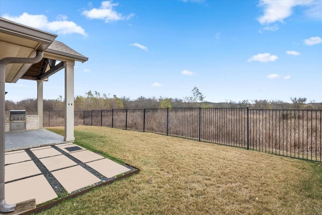 view of yard with a patio and area for grilling