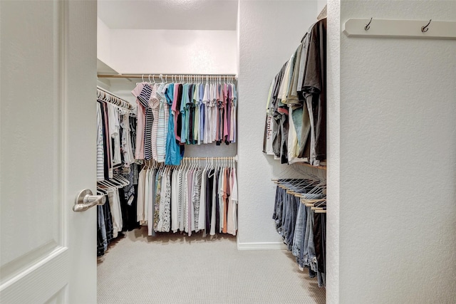 walk in closet featuring carpet floors