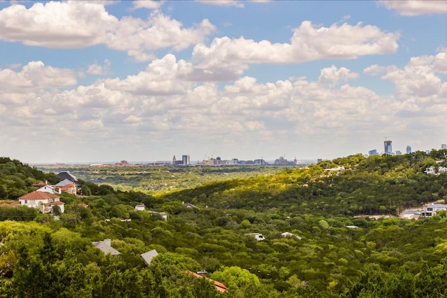 view of local wilderness