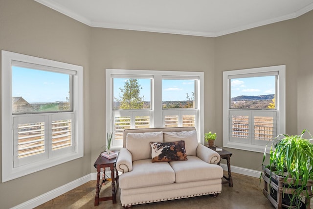 sitting room with ornamental molding