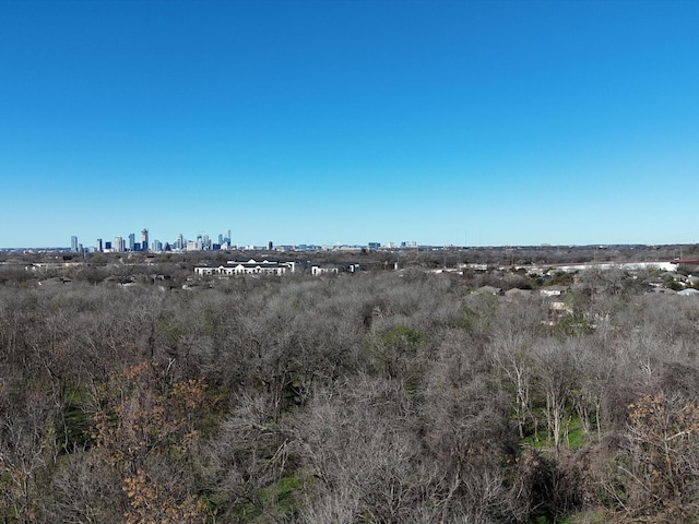 view of local wilderness