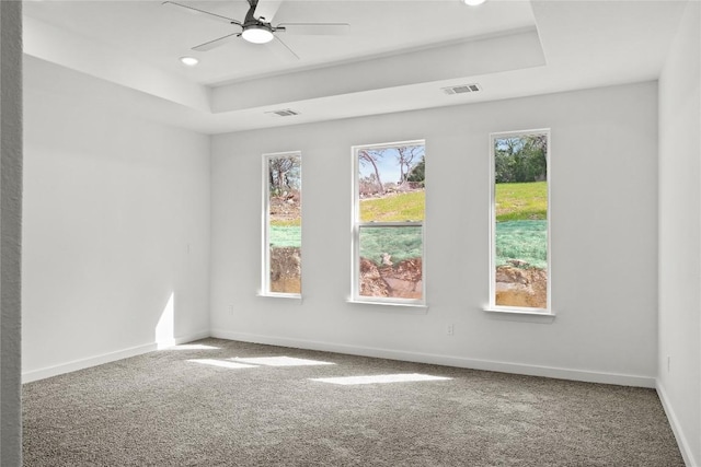 20714 Northland Dr, Lago Vista, TX 78645 - unfurnished room featuring a raised ceiling, plenty of natural light, carpet floors, and recessed lighting