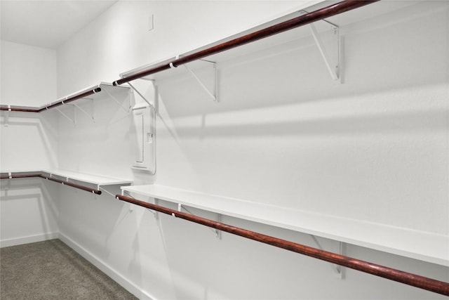 20714 Northland Dr, Lago Vista, TX 78645 - walk in closet featuring carpet floors