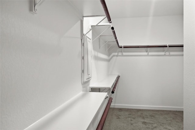 20714 Northland Dr, Lago Vista, TX 78645 - walk in closet featuring carpet