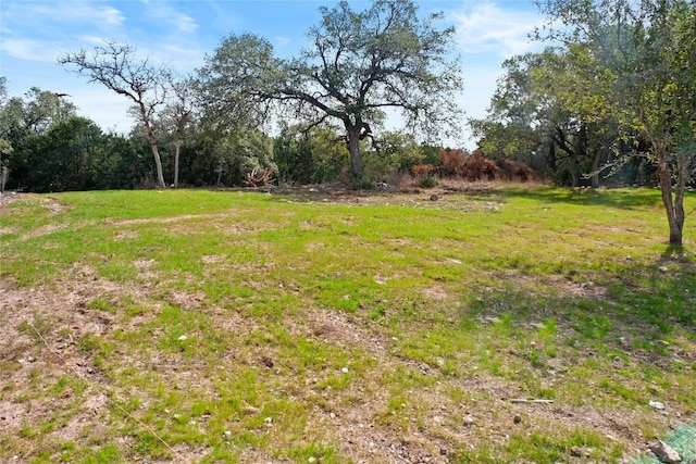 20714 Northland Dr, Lago Vista, TX 78645 - view of yard