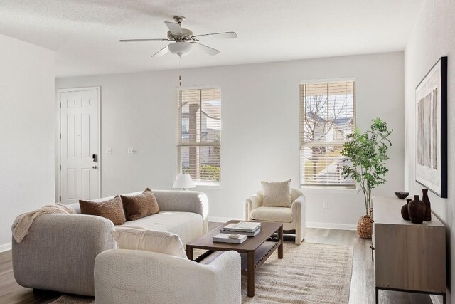 living room with ceiling fan and light hardwood / wood-style flooring