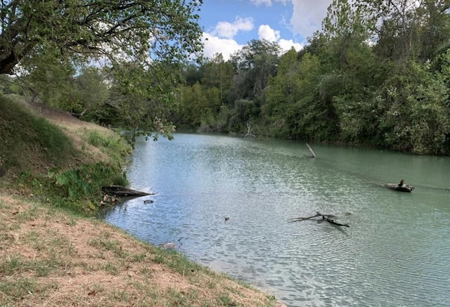 view of water feature