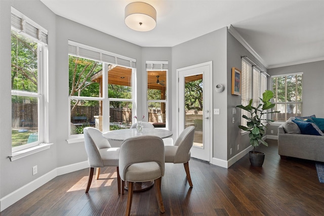 dining room featuring a healthy amount of sunlight and dark wood-type flooring