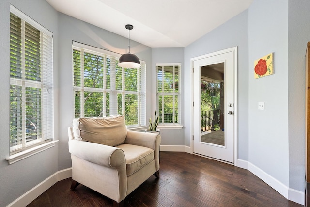 living area with vaulted ceiling, a wealth of natural light, and dark hardwood / wood-style floors