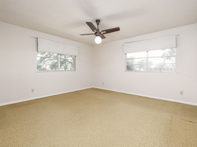 10025 Fm 1660, Hutto, TX 78634 - photo 6