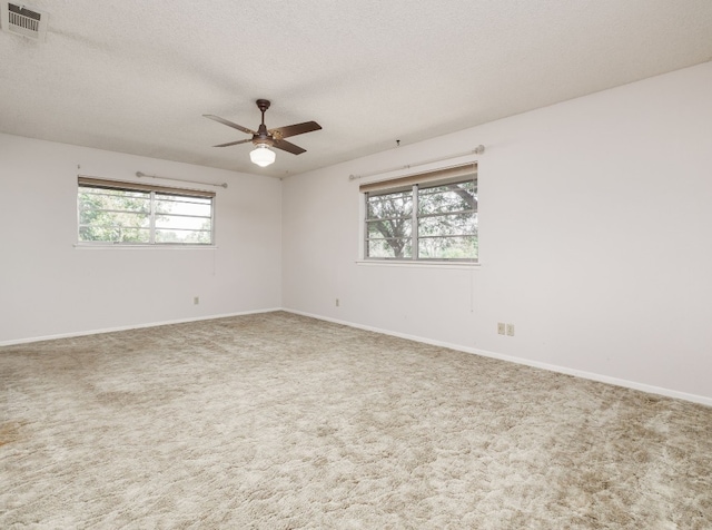 10025 Fm 1660, Hutto, TX 78634 - photo 30