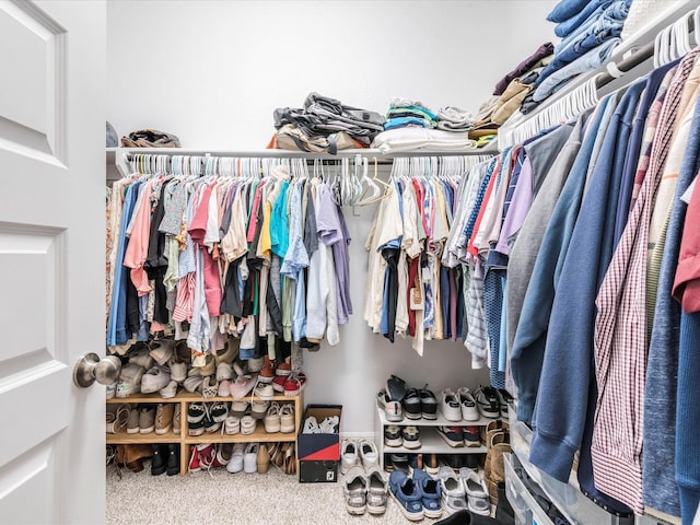 spacious closet with carpet flooring