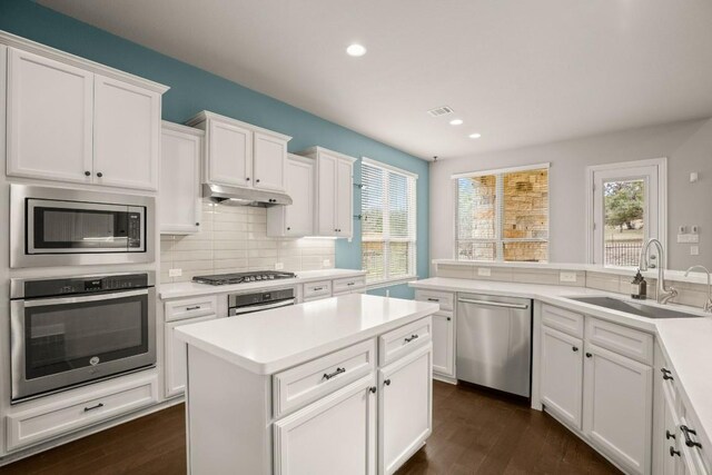 3816 Tango Ct, Leander, TX 78641 - kitchen featuring stainless steel appliances, under cabinet range hood, dark wood-style floors, light countertops, and backsplash