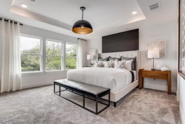 carpeted bedroom with a raised ceiling