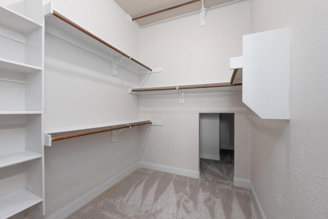 974 Clear Springs Holw, Buda, TX 78610 - spacious closet featuring carpet