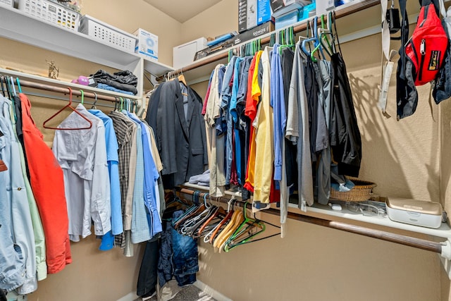 view of spacious closet