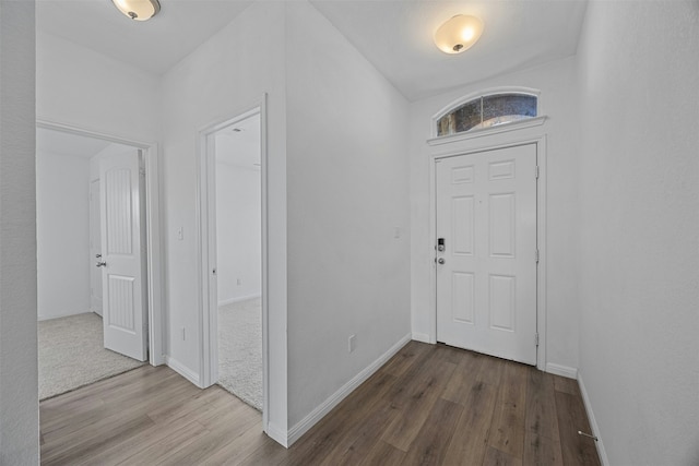 foyer entrance with hardwood / wood-style flooring