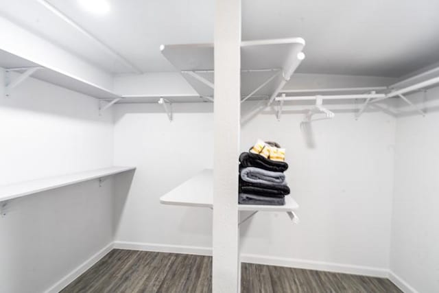 walk in closet featuring dark hardwood / wood-style flooring