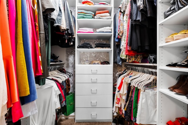 spacious closet featuring carpet