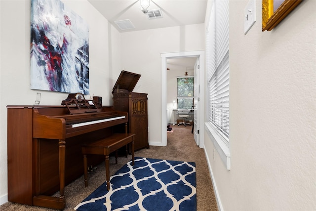 miscellaneous room with carpet flooring