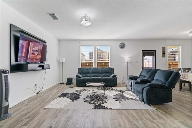 living room featuring a healthy amount of sunlight and light hardwood / wood-style floors