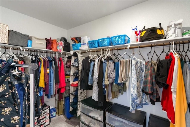 walk in closet featuring carpet floors