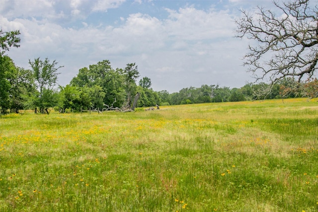 Listing photo 3 for LOT32 5.41ACRES Legacy Rd, Somerville TX 77879