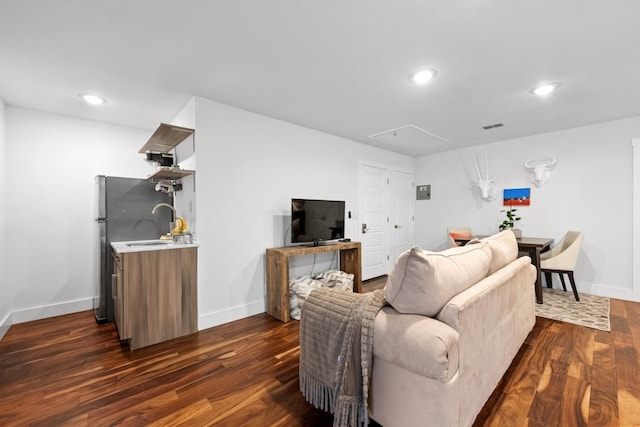 living room with sink and dark wood-type flooring